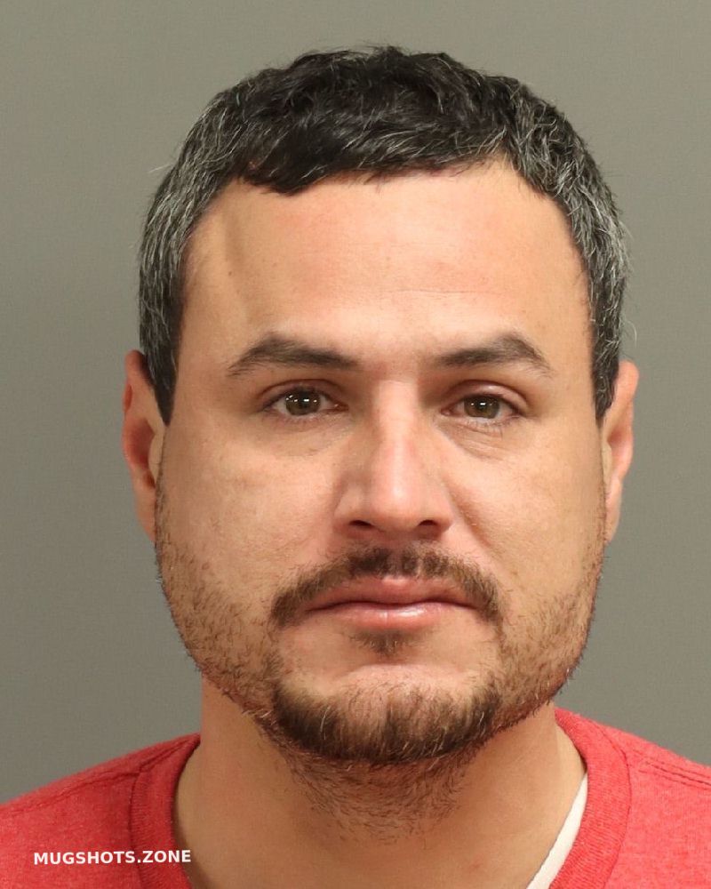 TEJEDA JOEL 11/11/2024 Wake County Mugshots Zone