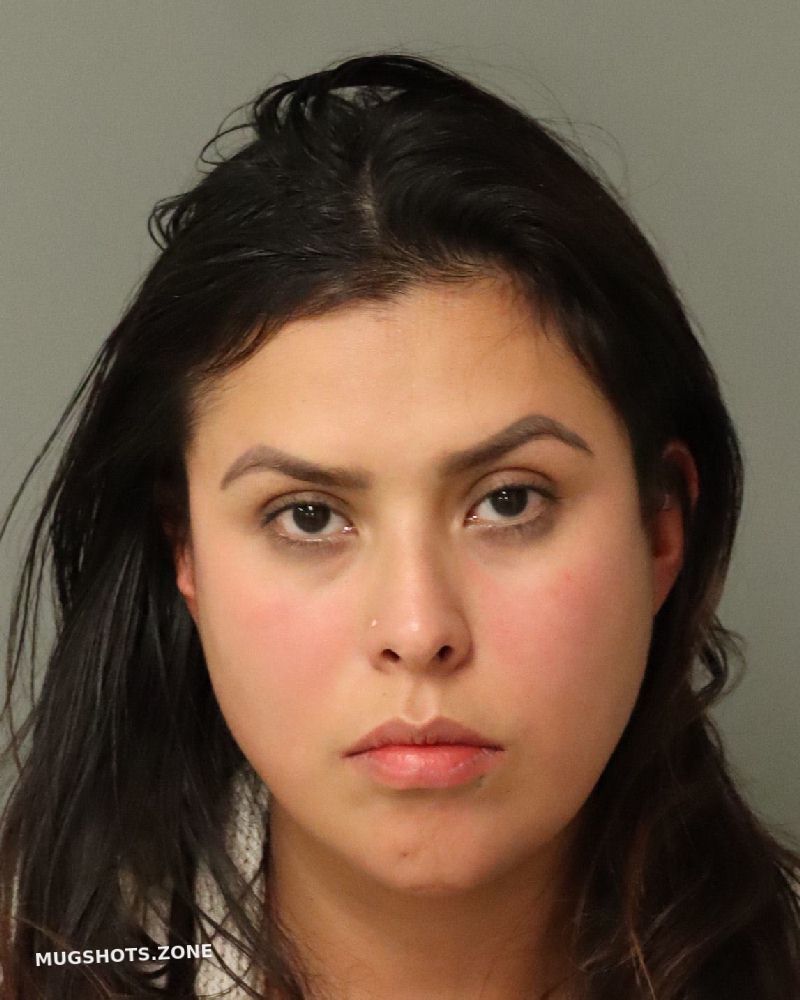 SALINAS KAREN IBSEN 01/13/2025 Wake County Mugshots Zone