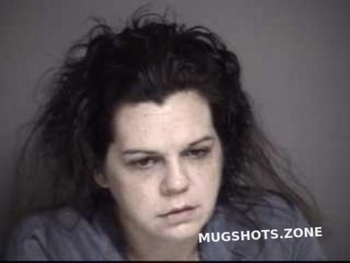 Goins Valerie Lynn 11 19 2022 - Warren County Mugshots Zone