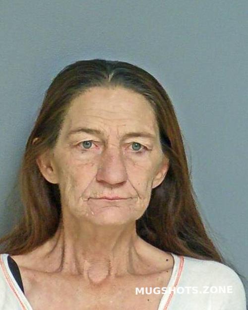 DECKER DIANE 03/29/2023 Warren County Mugshots Zone