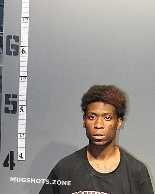 LEE JAYLIN CHRISTOPHER 04/18/2023 Western Tidewater Regional Jail