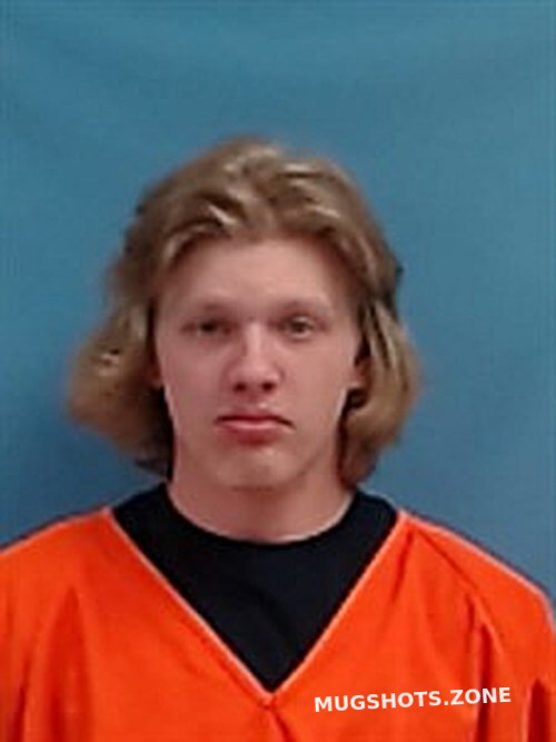 HAMILTON CARSON 03/17/2023 White County Mugshots Zone