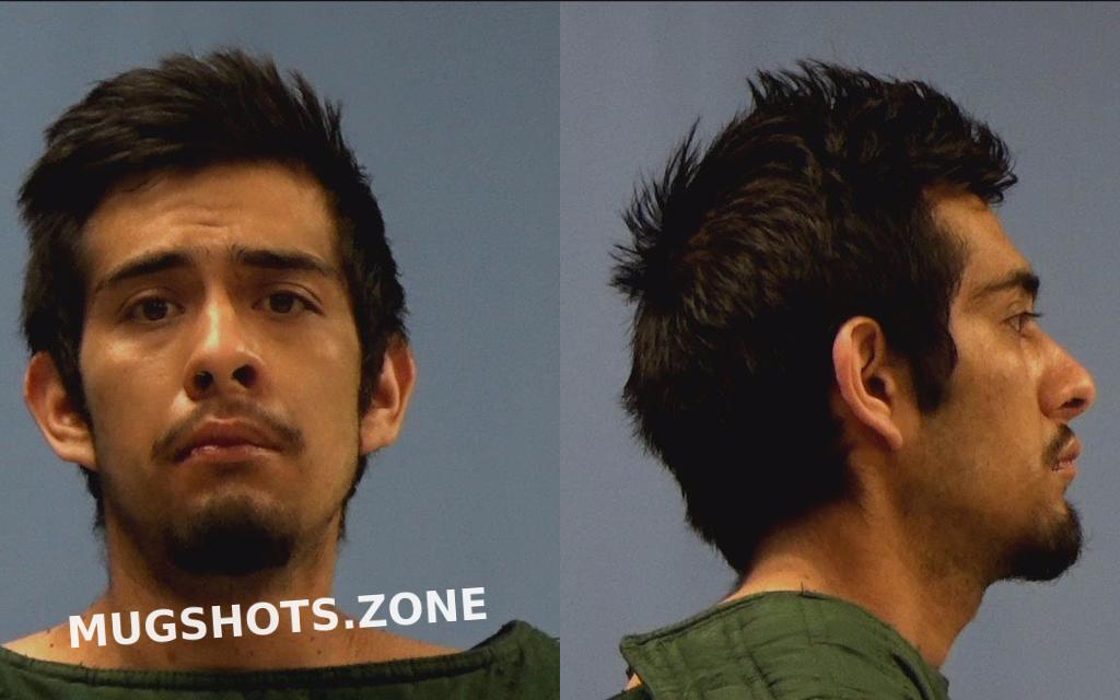 ESPINOZA JOSE ALFREDO 01/22/2021 Williamson County Mugshots Zone