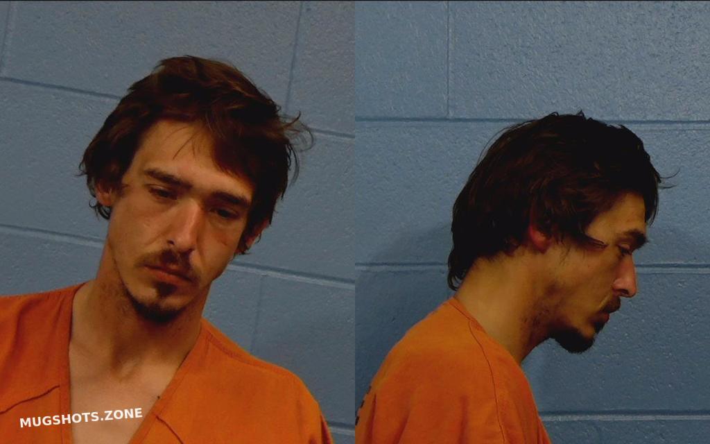 ASHINHURST MICHAEL LANDON 03/12/2021 Williamson County Mugshots Zone