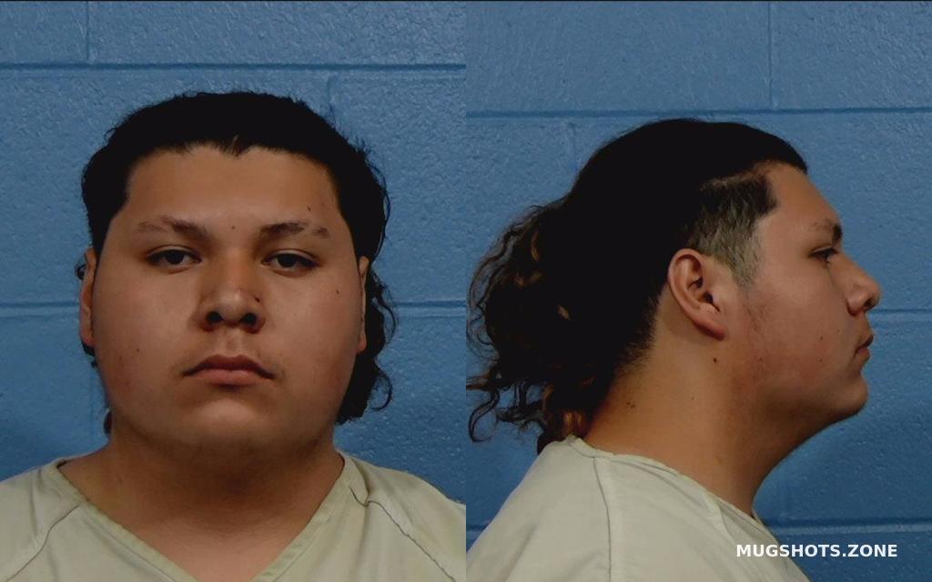 RESENDIZ BRYAN JAYDEN 04/12/2021 - Williamson County Mugshots Zone