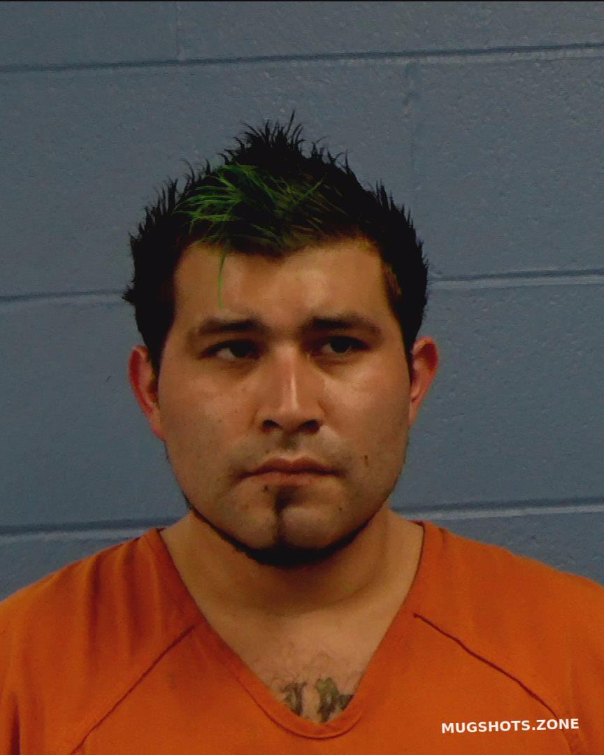 Gonzales Valdez Noe Renee 12222021 Williamson County Mugshots Zone 6343