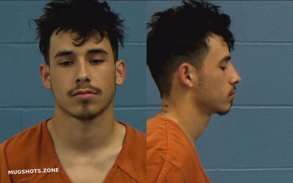 WARNER LANDON BRYCE 01/10/2022 Williamson County Mugshots Zone