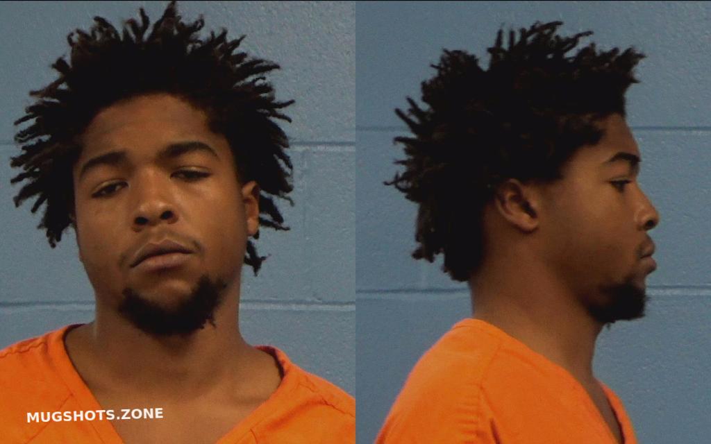 SANFORD ROBERT LEE 01/28/2022 - Williamson County Mugshots Zone