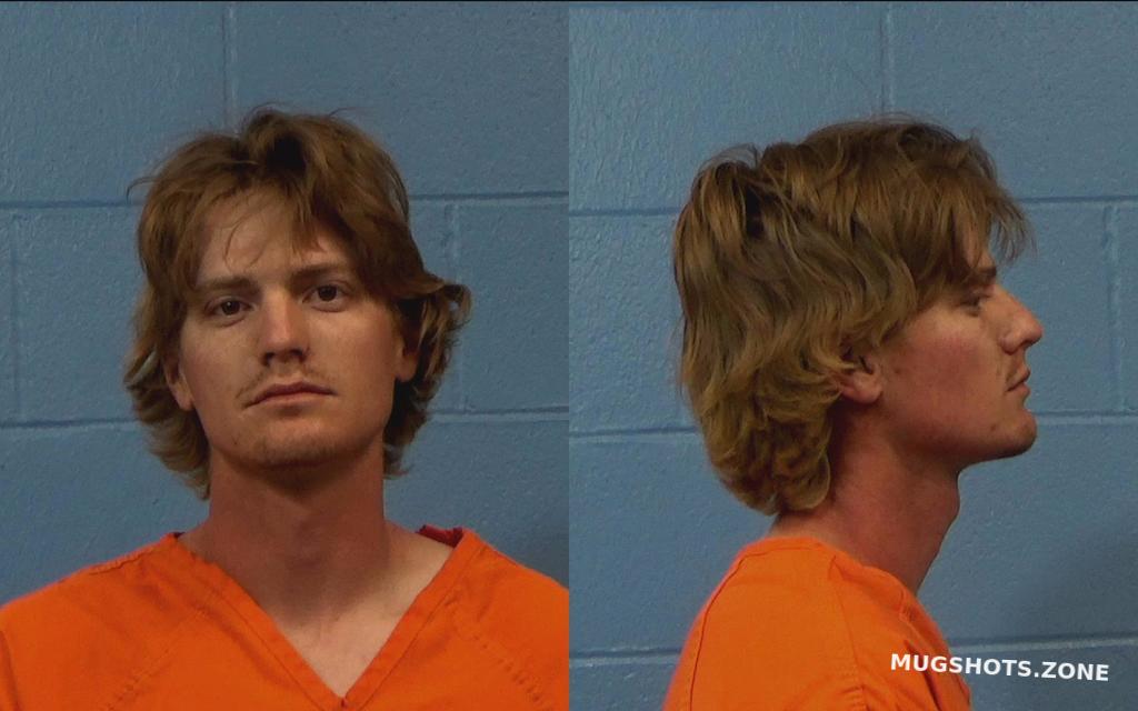 COLLINS CLAYTON JOEL 03/27/2022 - Williamson County Mugshots Zone