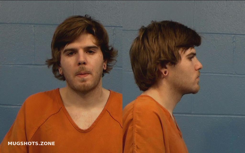 BREEDLOVE TRAVIS MITCHELL 06/15/2022 Williamson County Mugshots Zone