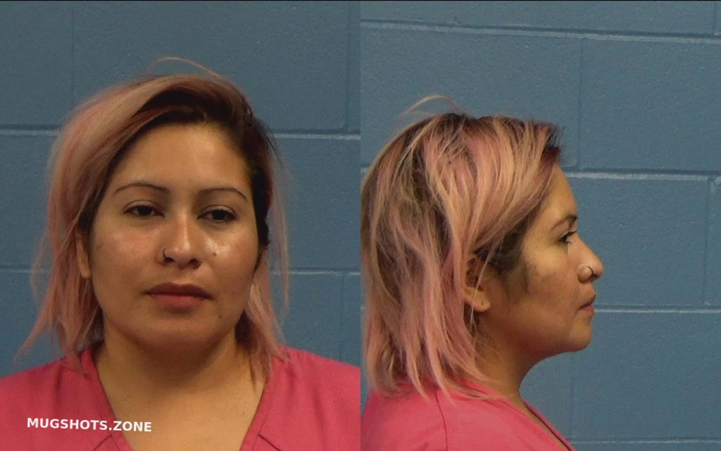 MORALES-MARES ROSA MAGALI 06/19/2022 - Williamson County Mugshots Zone