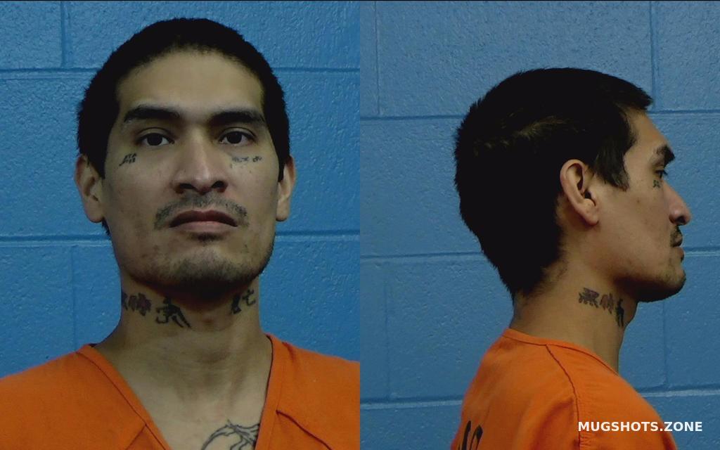 VILLEGAS JASON RAY 08/08/2022 Williamson County Mugshots Zone