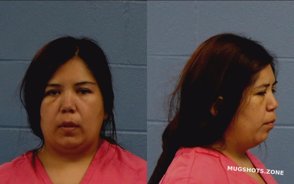 PUENTES MELINA 08/18/2022 - Williamson County Mugshots Zone