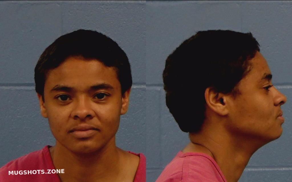 SARMIENTO BRITTANY RENEE 08/23/2022 - Williamson County Mugshots Zone