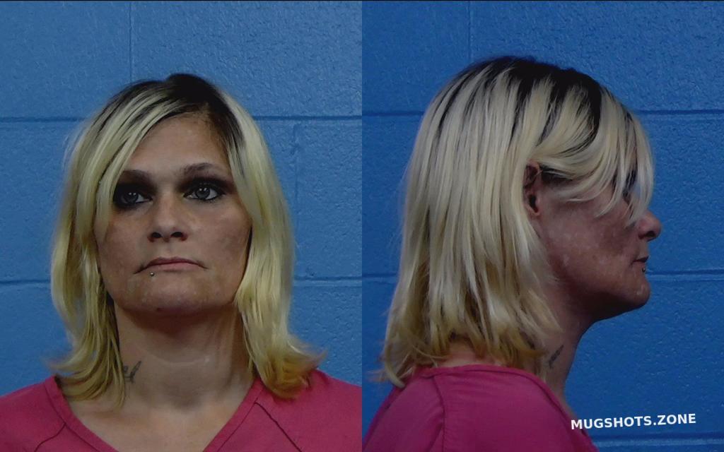 TURNER VICTORIA ANN 08/29/2022 - Williamson County Mugshots Zone