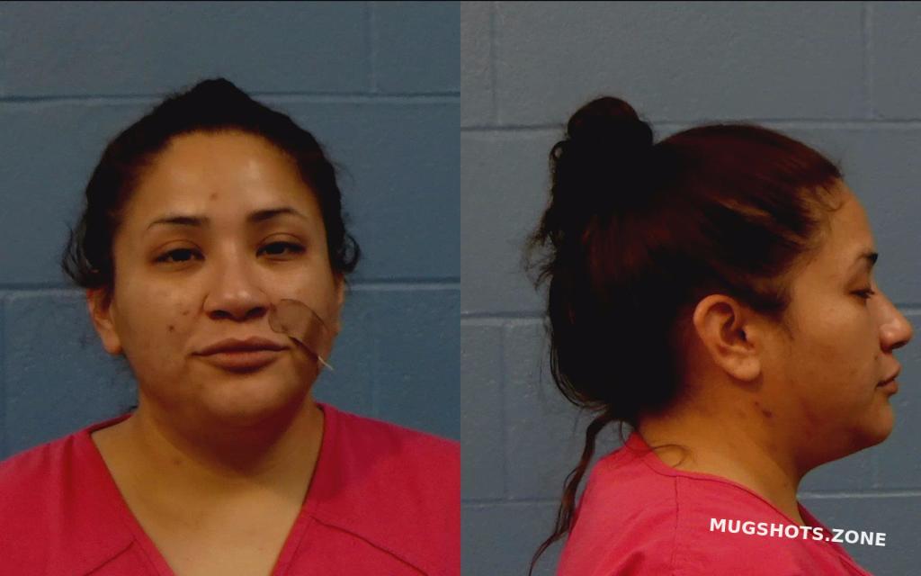 SARABIA AMY GUADALUPE 09/01/2022 - Williamson County Mugshots Zone