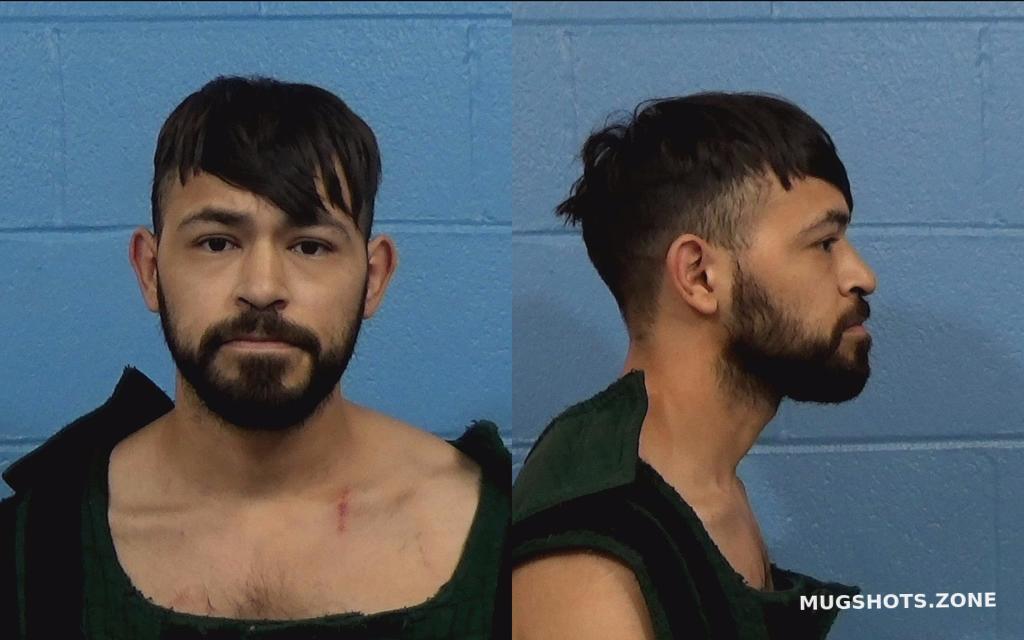 CORPUS ALEXANDER 10/11/2022 Williamson County Mugshots Zone