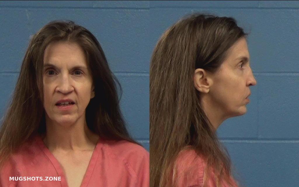 HOUCK CHERYL RENEE 10/14/2022 Williamson County Mugshots Zone