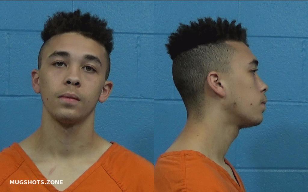 SANDERS CLYDE COOK 10/26/2022 Williamson County Mugshots Zone