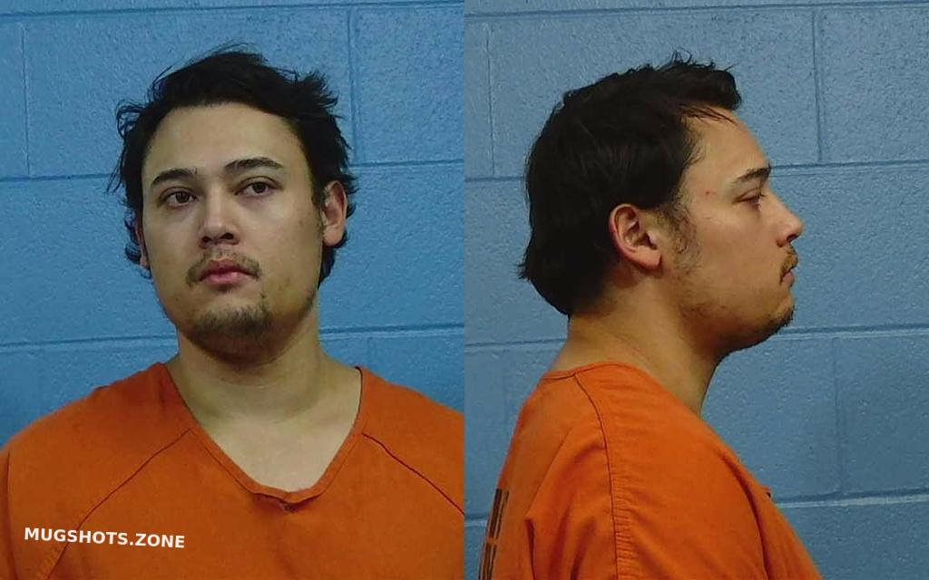 INGRAM TREVOR WELDON 11/16/2022 Williamson County Mugshots Zone