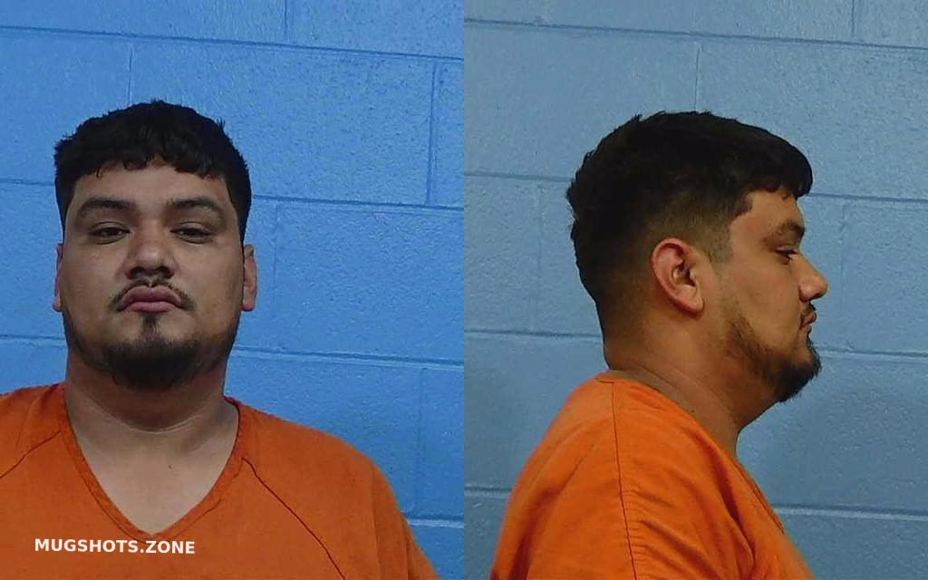 MOYEDA DANIEL 11/17/2022 Williamson County Mugshots Zone