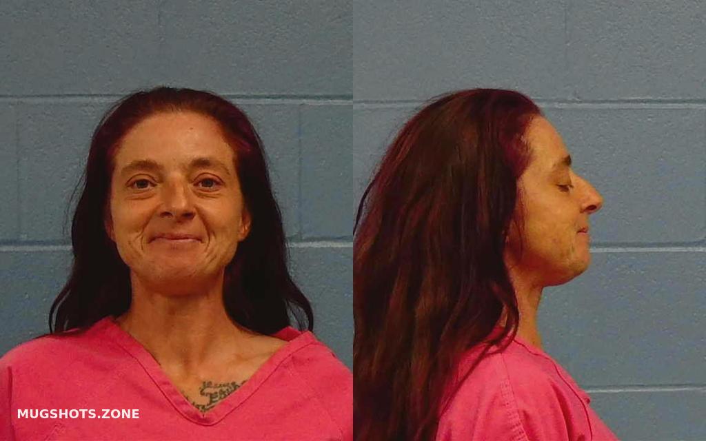 CLARK BETH ANN 11/21/2022 - Williamson County Mugshots Zone