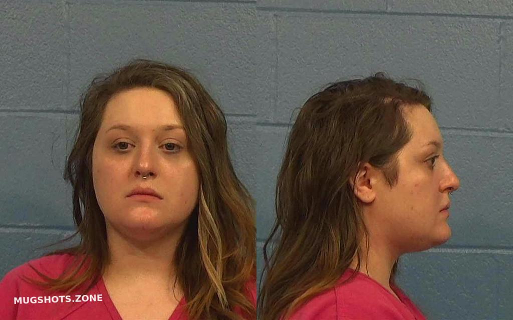 SIMONS ALEXANDRA GABRIHELA 12/26/2022 - Williamson County Mugshots Zone