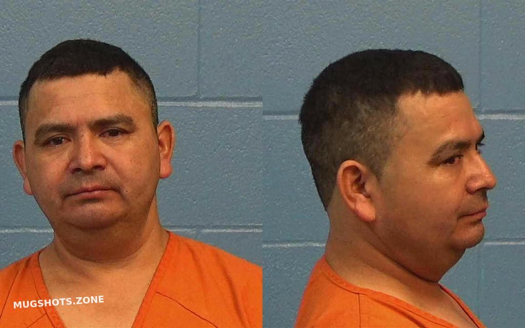 BAIDE GOMEZ ALFREDO 01/01/2023 Williamson County Mugshots Zone