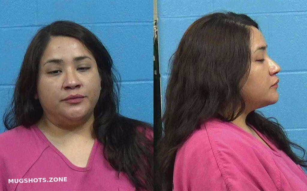 SARABIA AMY GUADALUPE 01/17/2023 - Williamson County Mugshots Zone