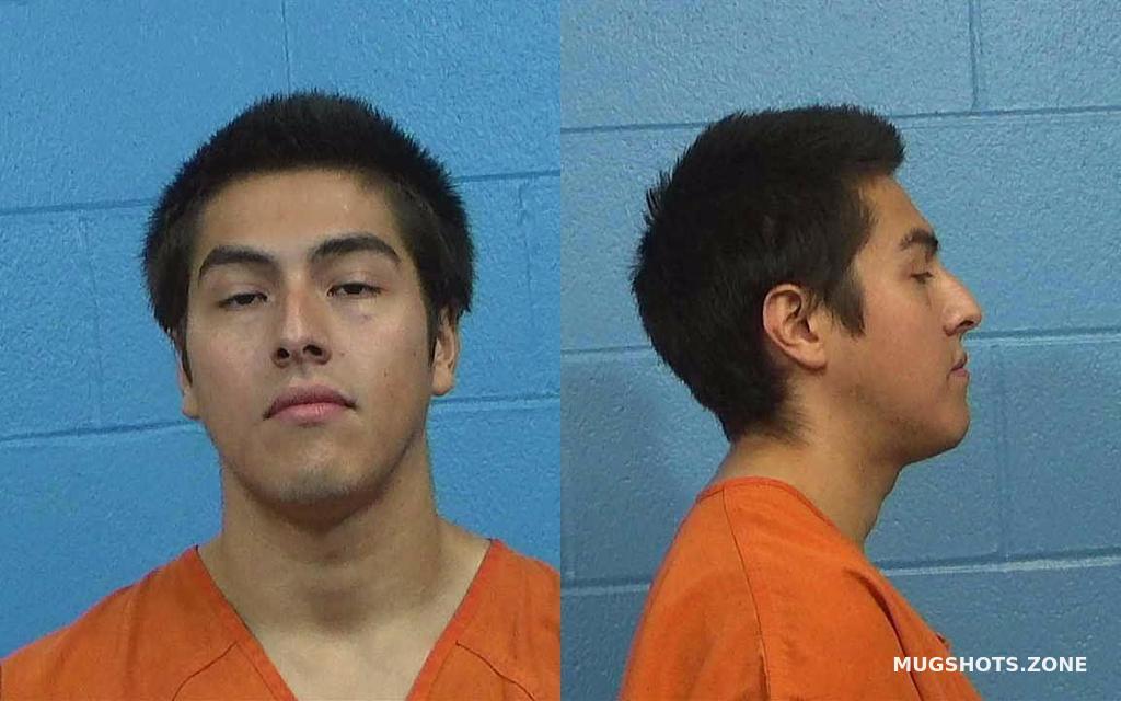 GUZMAN LUIS DUMAR 01/28/2023 - Williamson County Mugshots Zone