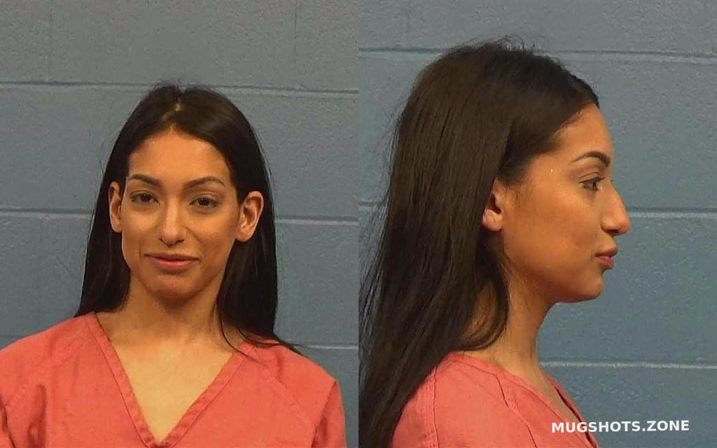 DIAZ YAJAIRA JAQUELINE 02/02/2023 Williamson County Mugshots Zone