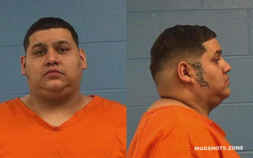 DOMINGUEZ JOSEPH ANTHONY 02/04/2023 - Williamson County Mugshots Zone