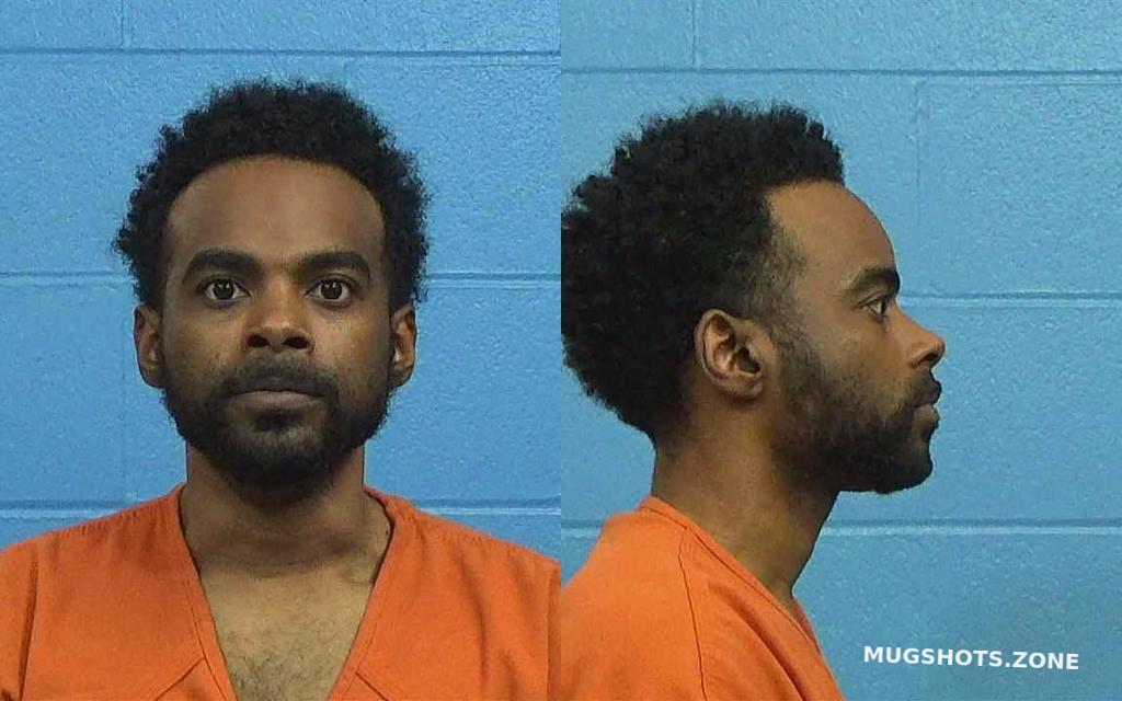 ROBINSON CHRISTOPHER LASHAUN 02/23/2023 - Williamson County Mugshots Zone