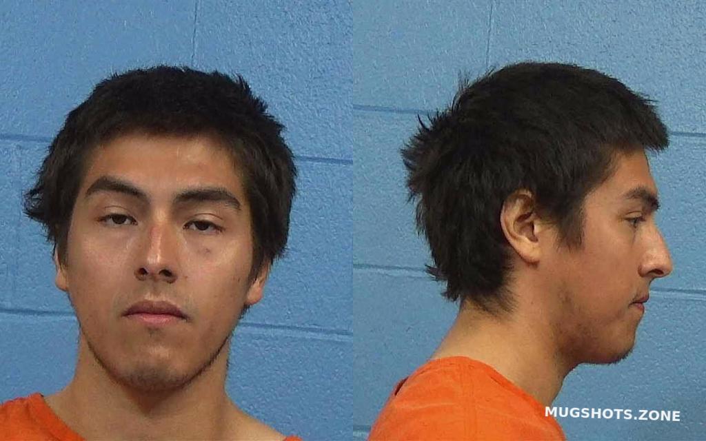 GUZMAN LUIS DUMAR 02/24/2023 - Williamson County Mugshots Zone