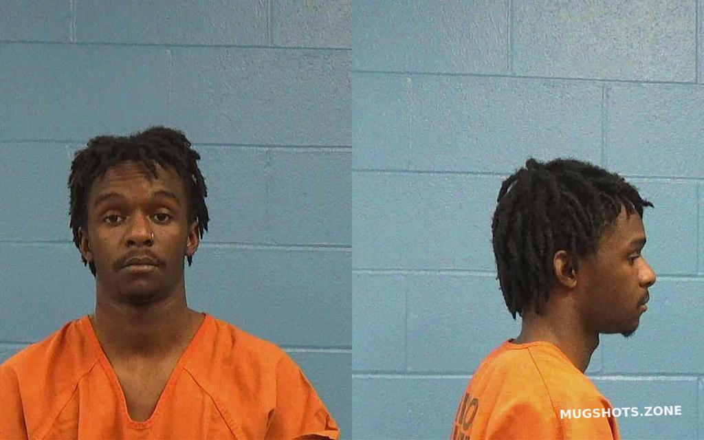 WISE JERON SHERWOOD JR. 03/09/2023 Williamson County Mugshots Zone
