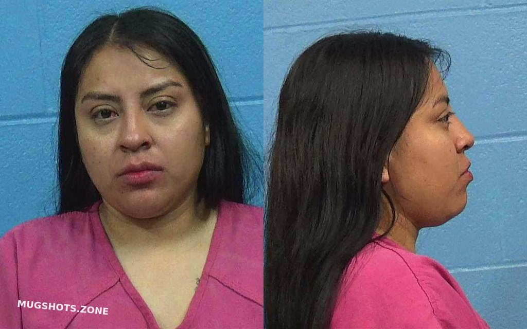 PACHECO GARCIA KAREN 03/16/2023 - Williamson County Mugshots Zone