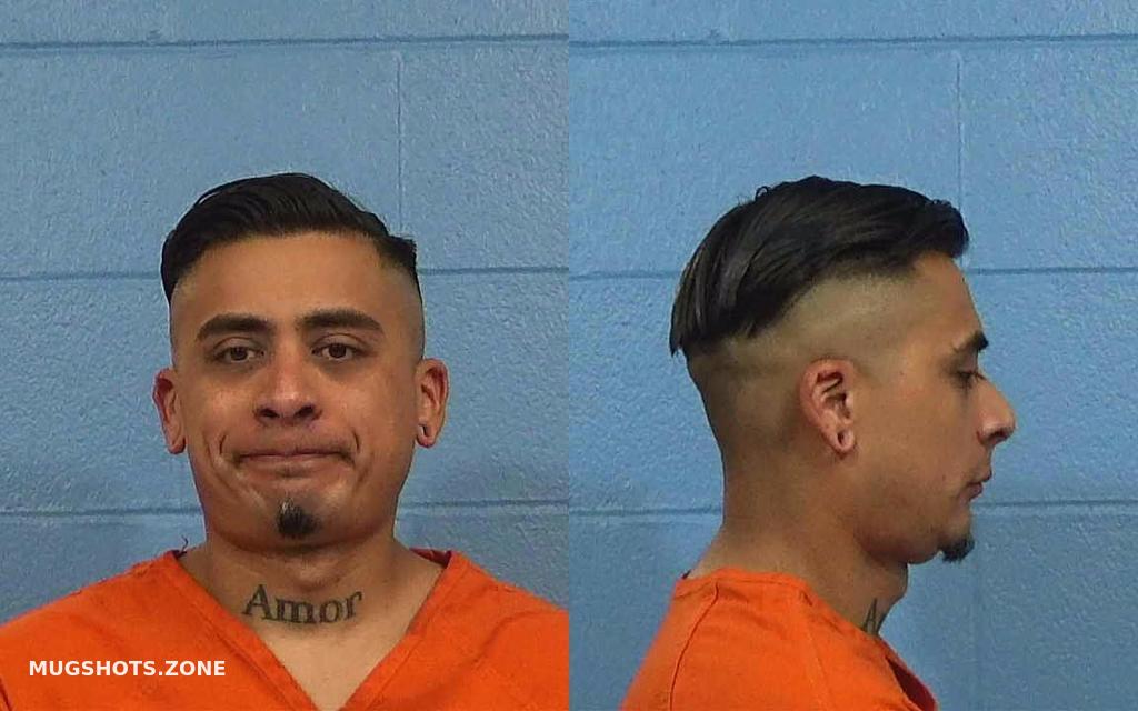 SANDOVAL MARIO ENRIQUE 03/30/2023 Williamson County Mugshots Zone
