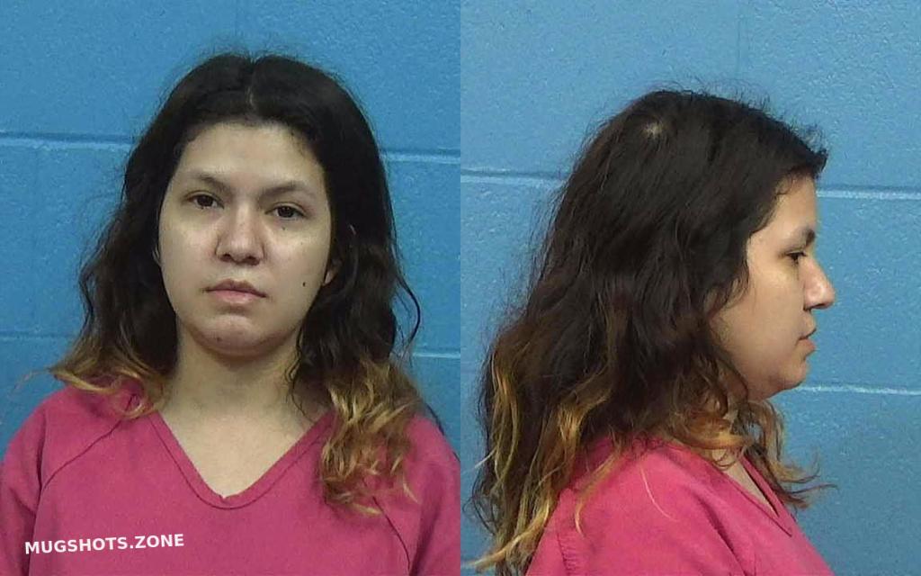 CHAVEZ ASHLEY NICOLE 04/03/2023 - Williamson County Mugshots Zone