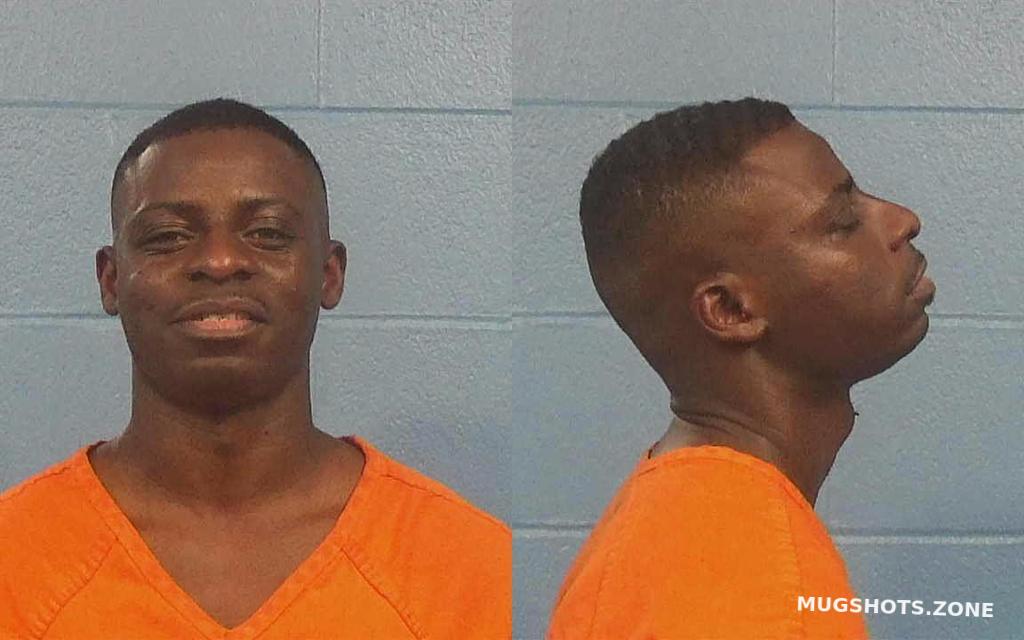 FITZGERALD JOE LEWIS JR. 05/11/2023 Williamson County Mugshots Zone