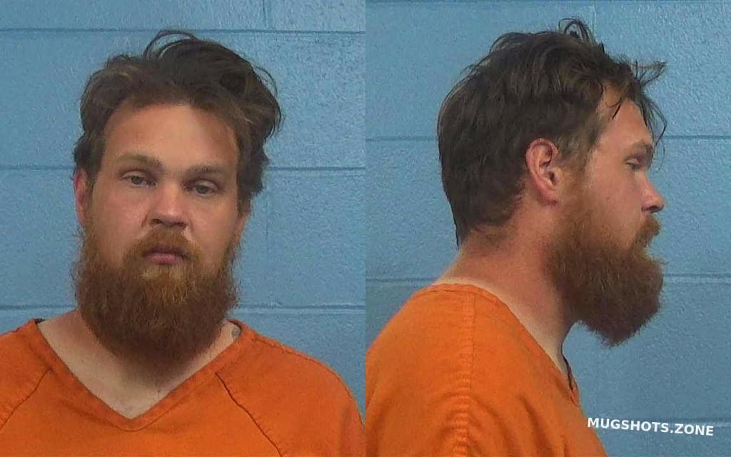 HOFFMAN CARSON DEWAYNE 05/17/2023 - Williamson County Mugshots Zone