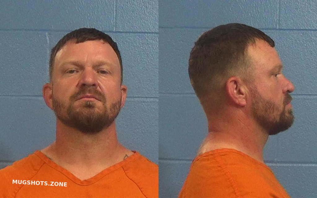 JOHNSON CLINTON NORMAN 06/08/2023 Williamson County Mugshots Zone