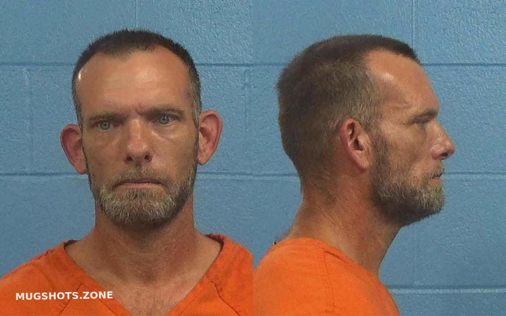 HOLLER MICHAEL DAVID 06/12/2023 Williamson County Mugshots Zone