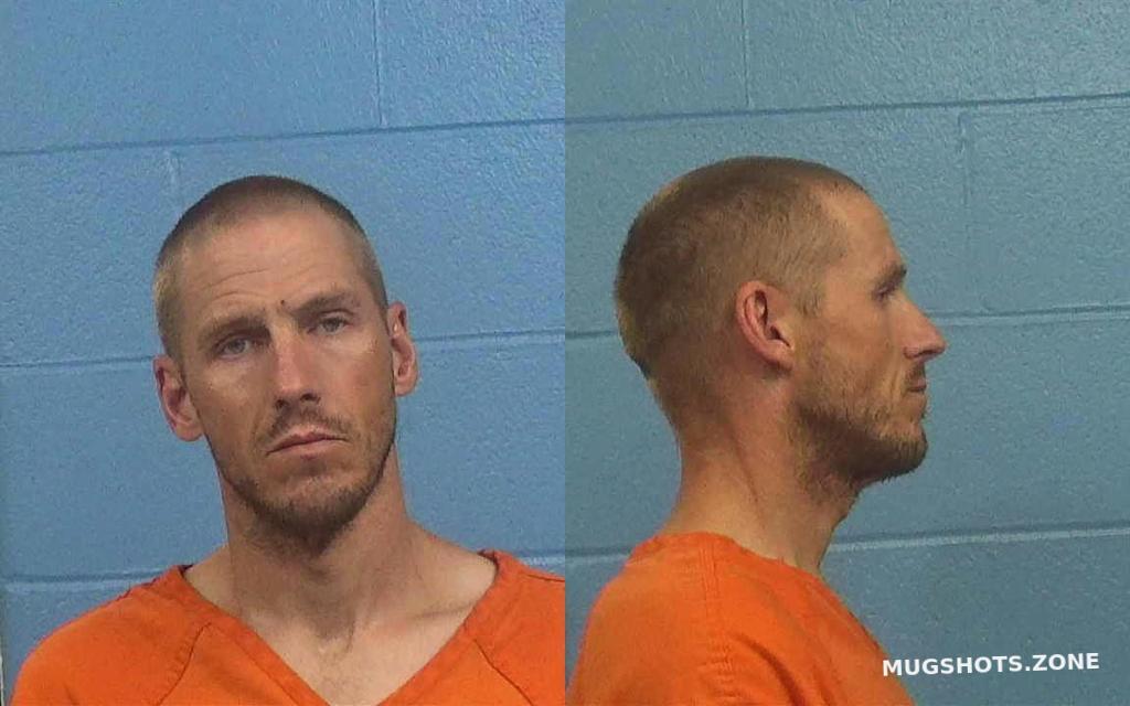 BEEMAN TRAVIS BLAKE 06/20/2023 Williamson County Mugshots Zone