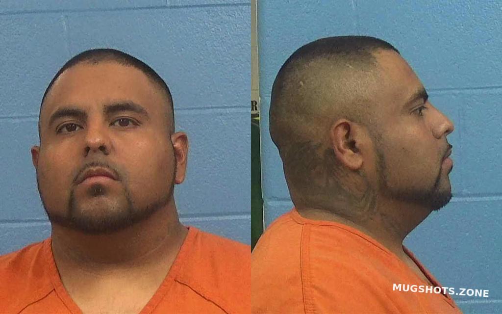 DIAZ RICARDO ALFREDO 06/21/2023 Williamson County Mugshots Zone