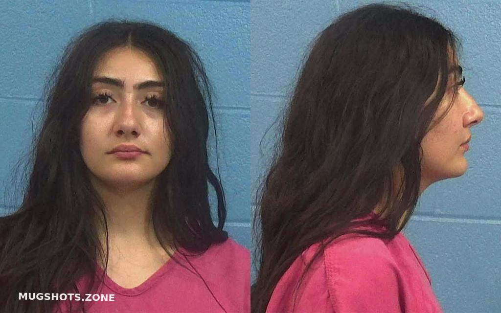 CASTILLO PRIETO VANESSA ALONDRA 07/24/2023 Williamson County Mugshots