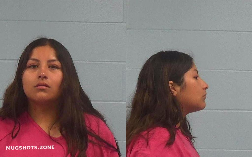 VARGAS JULISSA MARIE 08/29/2023 - Williamson County Mugshots Zone