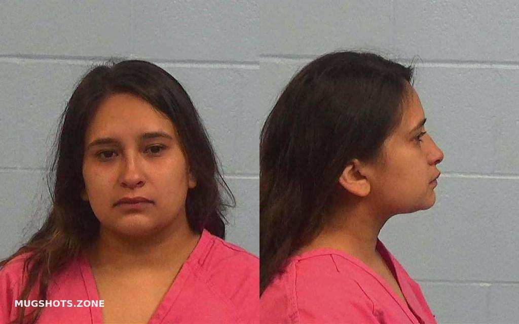 HERNANDEZ ANGELICA 11/23/2023 - Williamson County Mugshots Zone