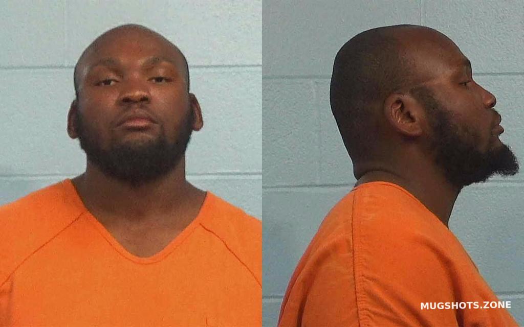 SEDWICK WALTER ANTHONY 11/25/2023 Williamson County Mugshots Zone