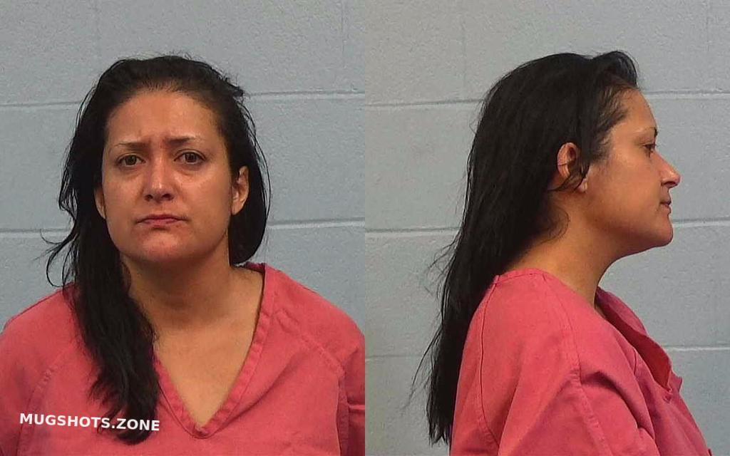 TORRES NYDIA 02/20/2024 - Williamson County Mugshots Zone