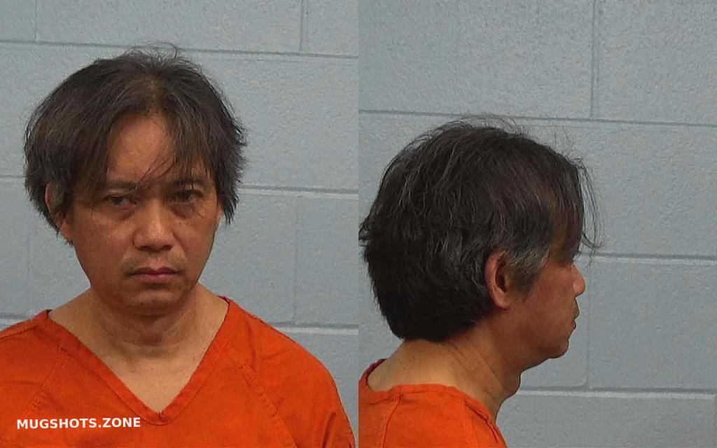 SION ERIC VINCENT 03/01/2024 Williamson County Mugshots Zone